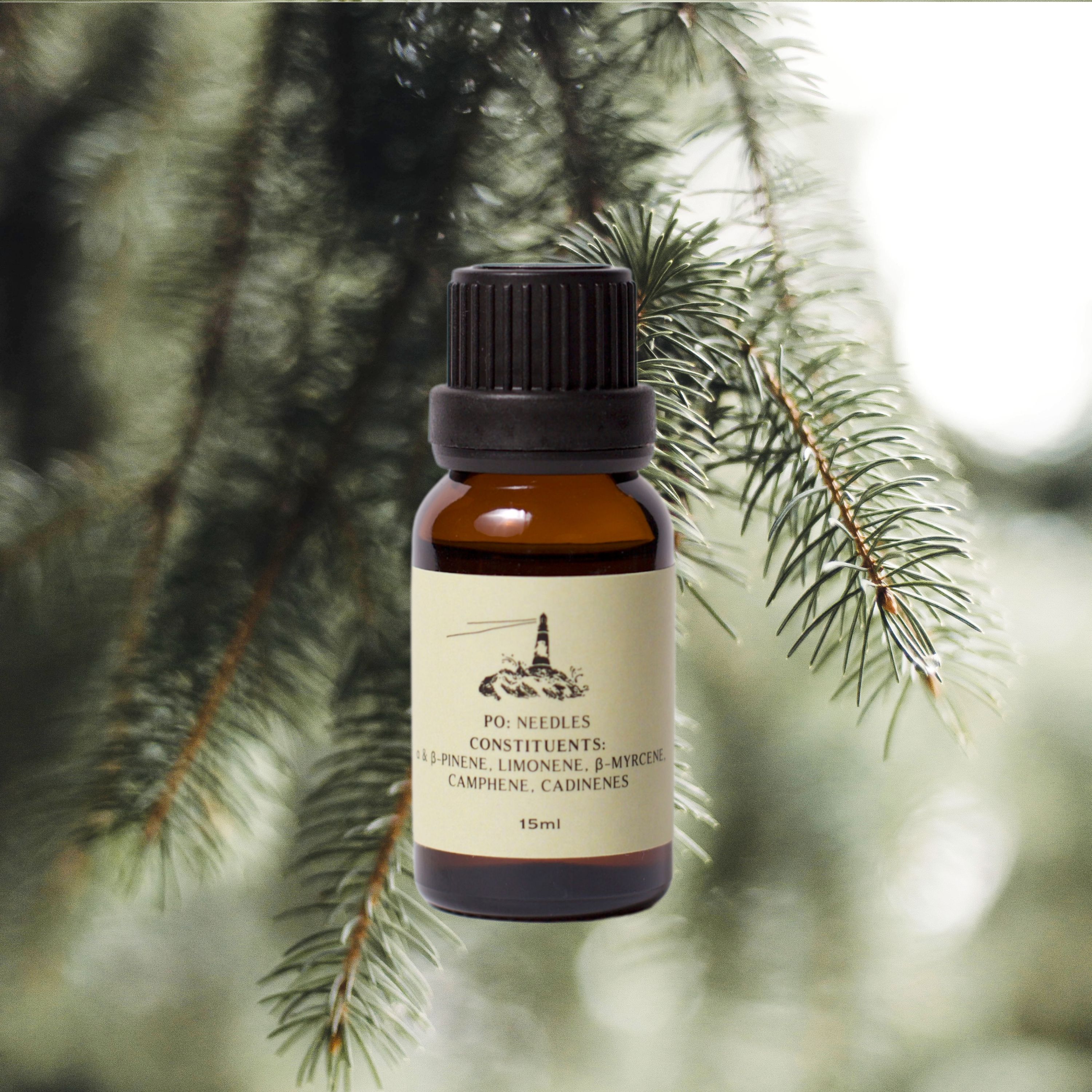 Pine Pure Essential Oil